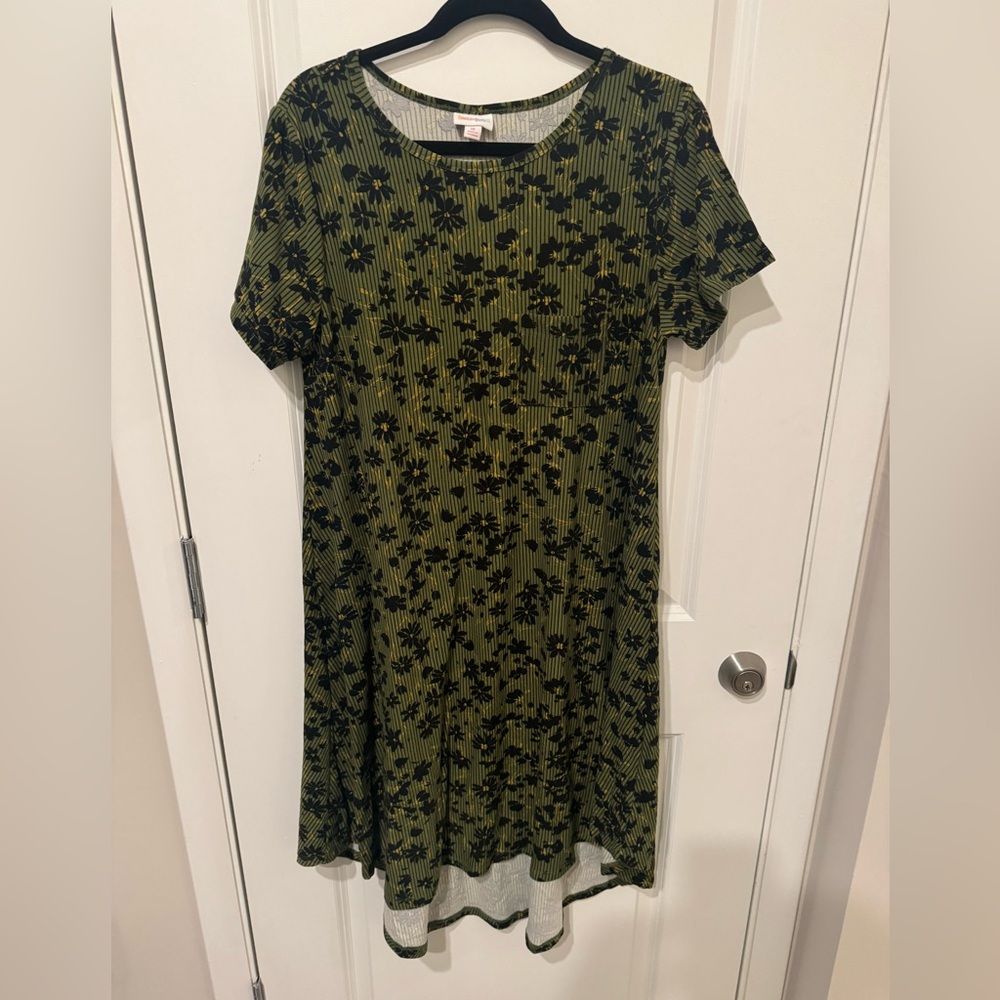 LuLaRoe Carly dress floral print with stripes